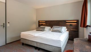 Hotel Metropole Interlaken - Interlaken - 9