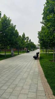 Бульвар Резиденция вид на парк - Taschkent - 8