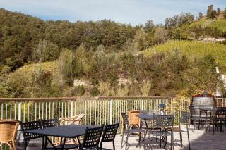 Borgo Isolabella - Wine & Vermouth Agri Resort - Loazzolo - 1