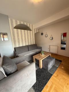 Apartman Aleksa - Skopje - 2