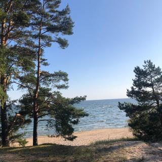 Valeria kamping - Uusküla - 0