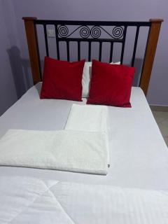 Kilimanjaro Helichrysum Homes - Arusha - 3