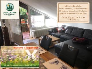 Ferienwohnung Kuckuck auf dem Sommerberg incl SchwarzwaldCard Plus - 2 Zimmer 50qm - Bad Wildbad - 0
