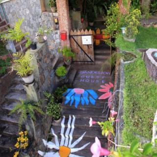 D lion villa - Kandy - 6