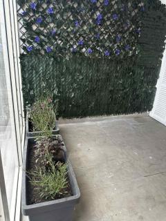 Aphrodites Suite - 4