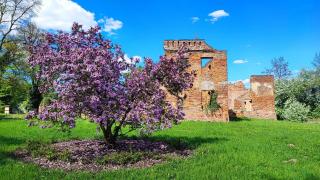 Noclegi u Eichendorffa - 1