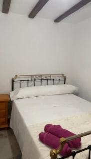 Apartamento rural Zújar - Zújar - 7