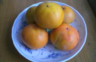 Kakinoen / Vacation STAY 3939 - Nakagawa - 1