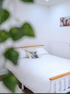 Spacious & Modern 4-bed home - TV in every bedroom - Swansea - 1