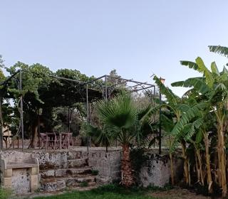 Masseria La Maestà - Ospitalità Rurale Famigliare - Sannicola - 2