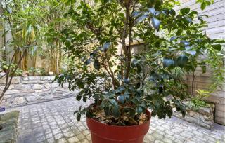 1 Bedroom Lovely Apartment In La Rochelle - 1