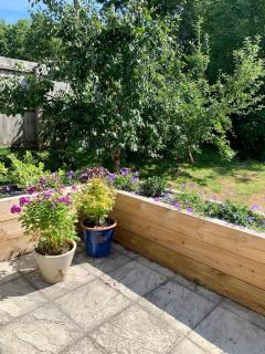 Charming Dog-Friendly Guesthouse - 1