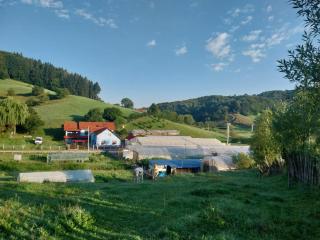 Casa Ardelean - Sita Buzăului - 7