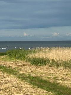 Angervaksa LoodusSpa - Laugu - 1