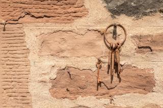 Kilmore Paws and Relax - Comrie - 8