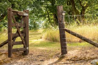 Kilmore Paws and Relax - Comrie - 2
