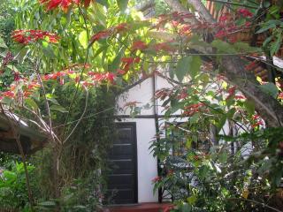 Banana Jungle Lodge - Moshi - 0
