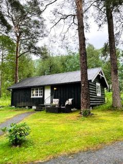 Phillipshaugen Lodge - Øksendalsøra - 6