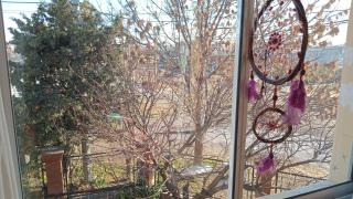 Casa de Franchesca HOSTEL - Trelew - 5