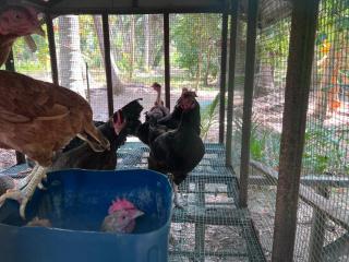 Vaakai Home Stay - - 4