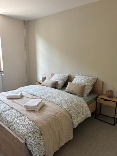 Appartement chaleureux - Rigny-Ussé - 5