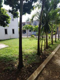 Grace Nest - 0