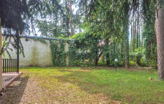 Pet Friendly Home In Boruja - Boruja - 3