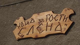 Guesthouse Elena - 9