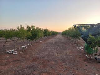3 Twins - Portopalo di Capo Passero - 6
