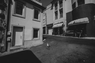 NEW - Heart of Sesimbra - Sesimbra - 2