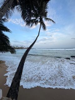 Turtle Beach House - Batigama - 5