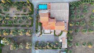 Casale Gli Ulivi - 7