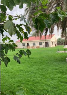 استراحة جوهرة النخيل - 1