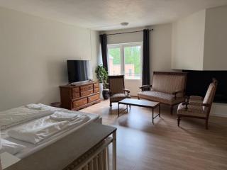 Grand Hotel Hønefoss - Hønefoss - 7