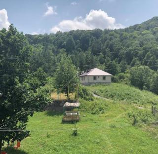 Green Hills Resort - Hankavan - 9
