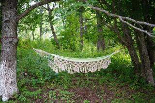 Green Hills Resort - 5