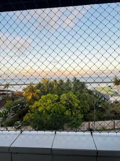 Janga Paulista-Pe - 7