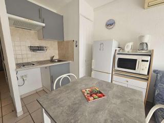Appartement T1 avec climatisation à Balaruc-les-Bains - FR-1-553-308 - 7
