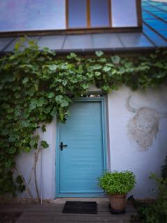 Nature lovers house izbeigts - 8