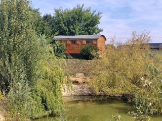 Charmante roulotte - - 9