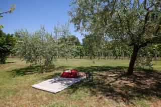B&G Menconi Edera - Castelfranco di Sotto - 9