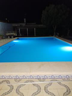 Chalet casa la adelfa - 2