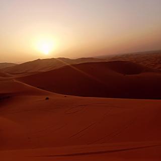 Merzouga morocco - 8