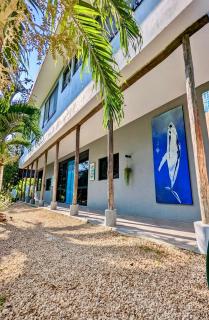 The Blue Eco Lodge - Valladolid - 0