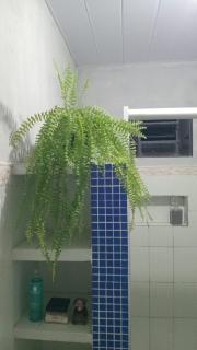 Comfortable home - Ananindeua - 2