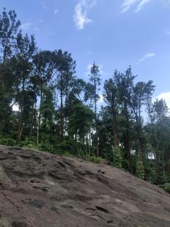 Chills homestay - Kalpetta - 7