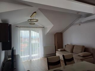 Nidaly Residence- Apartment with Relaxing Space - Alba Iulia - 0