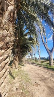Estancia para 16 personas en Chascomus - Chascomús - 9
