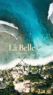 La Belle Hollow Trees - 0