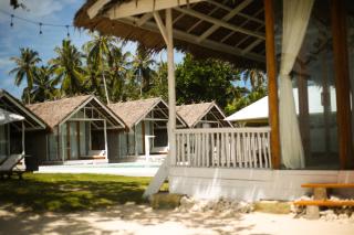 La Belle Hollow Trees - 1